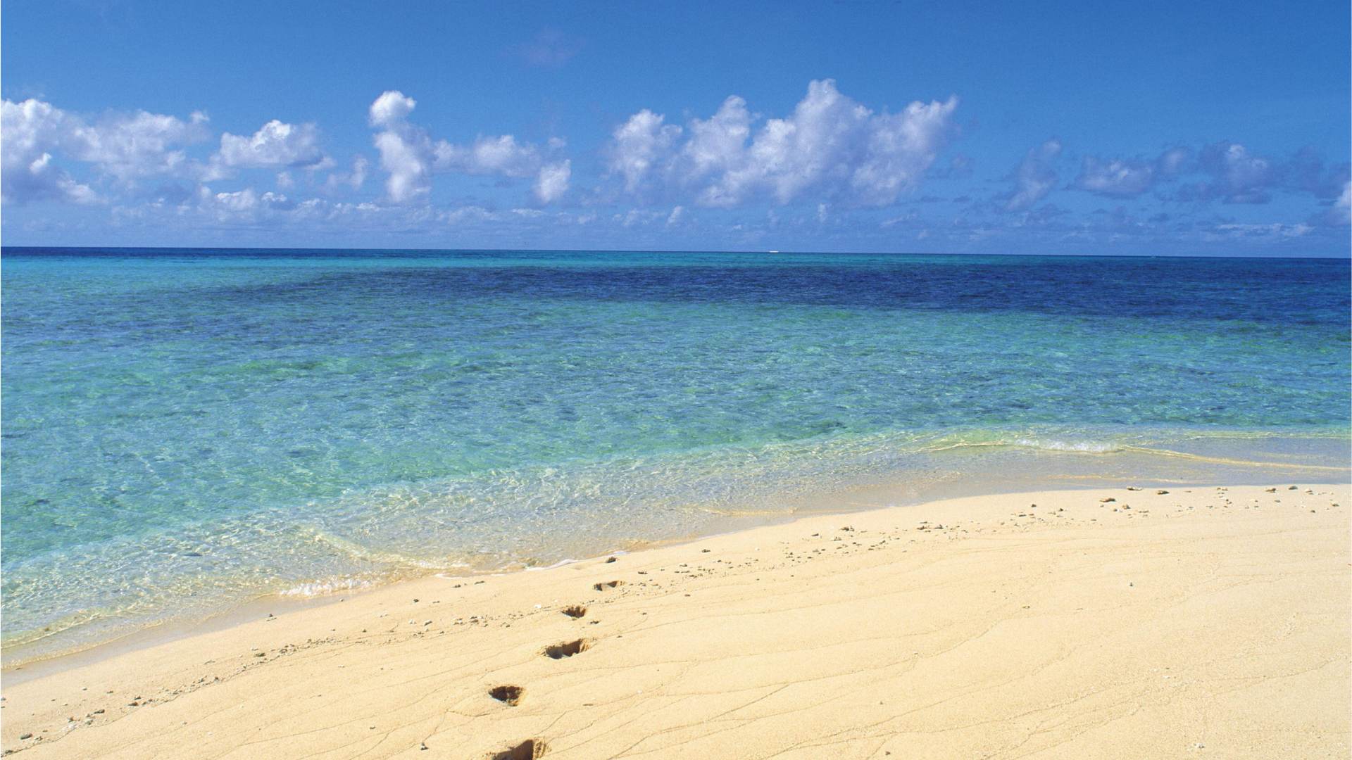 Tahiti Beach & the Sandbars