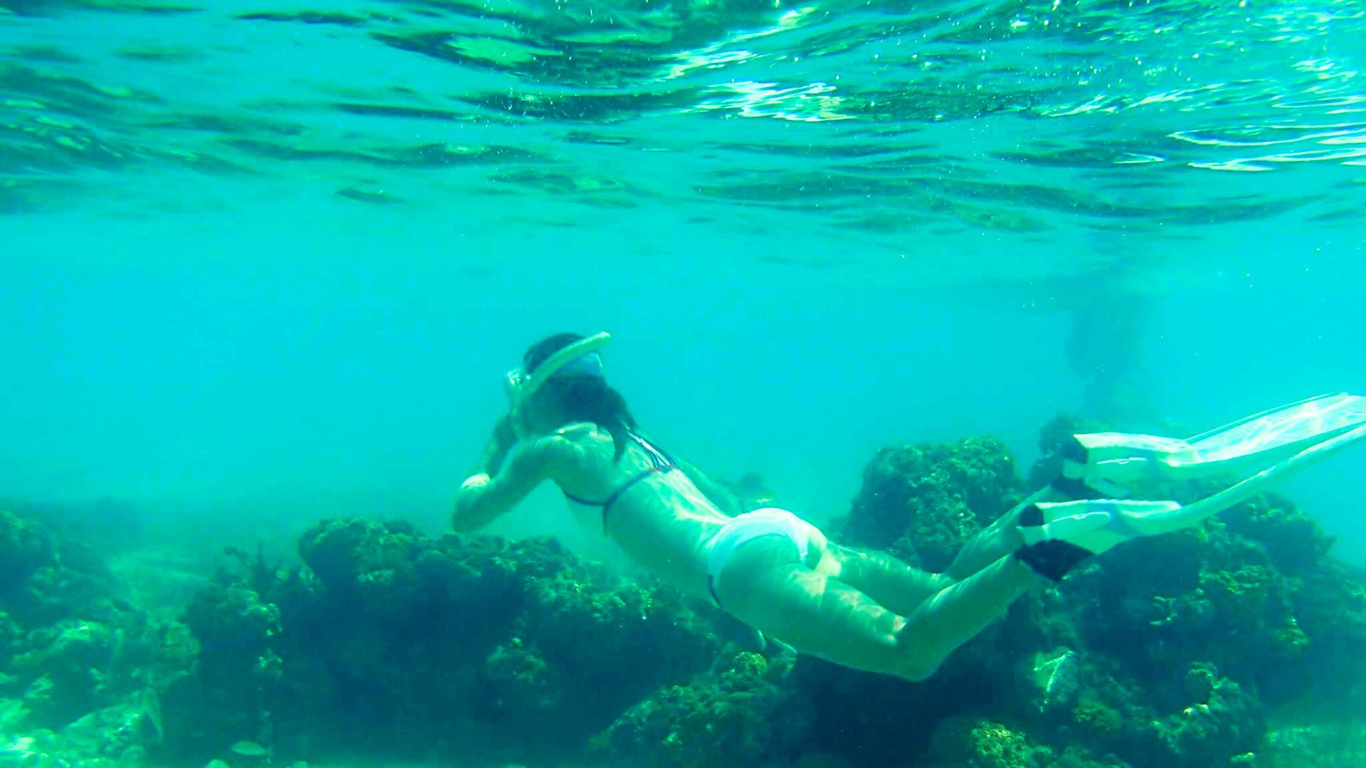 Two National Parks, One Reef