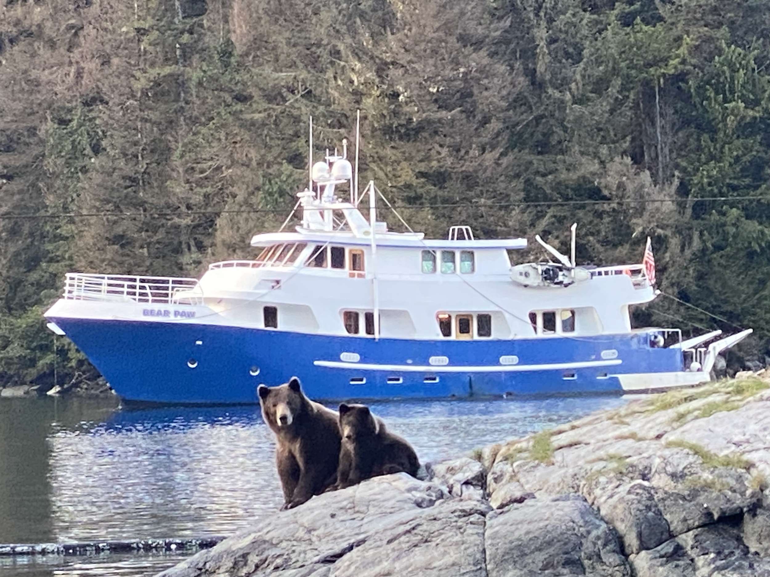 A black bear sow and cub on shoreline rocks with the yacht at anchor behind