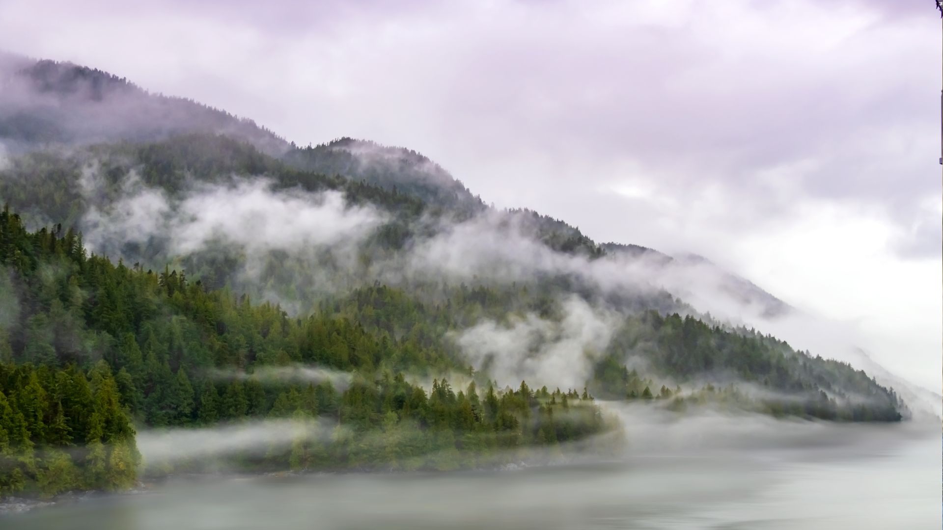Fog laced through spruce slopes above still water in a granite-walled fjord cove.