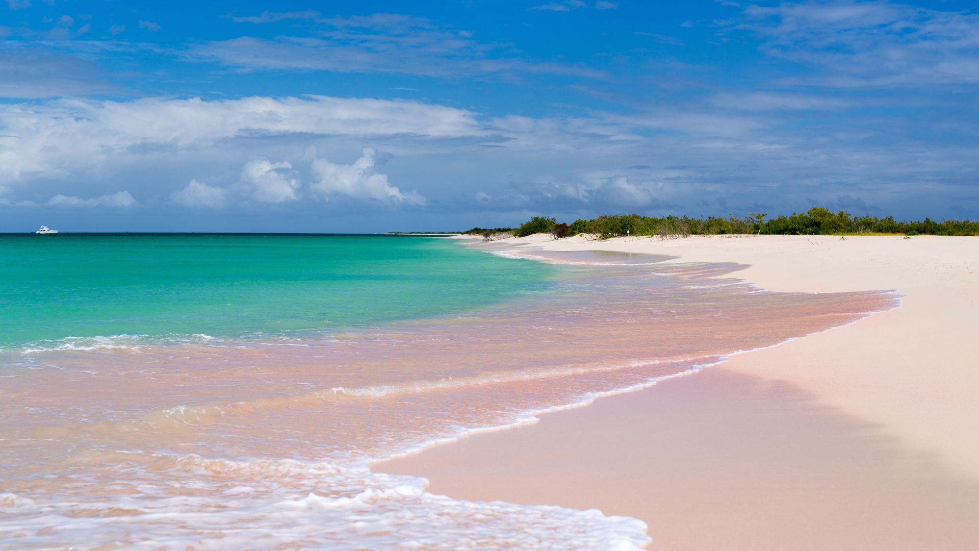 An empty pink-sand beach on Barbuda with a yacht anchored offshore in turquoise water.
