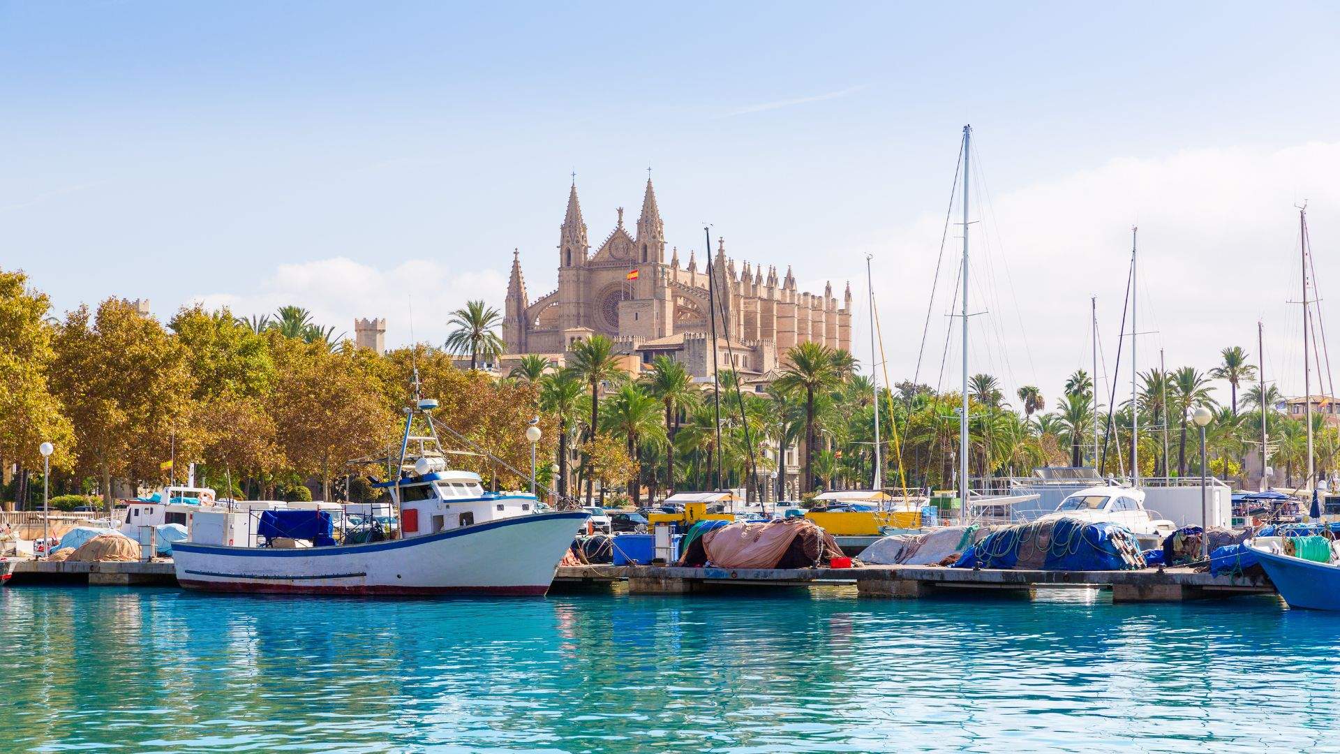 Palma marina with Cathedral La Seu in the background — embarkation morning.
