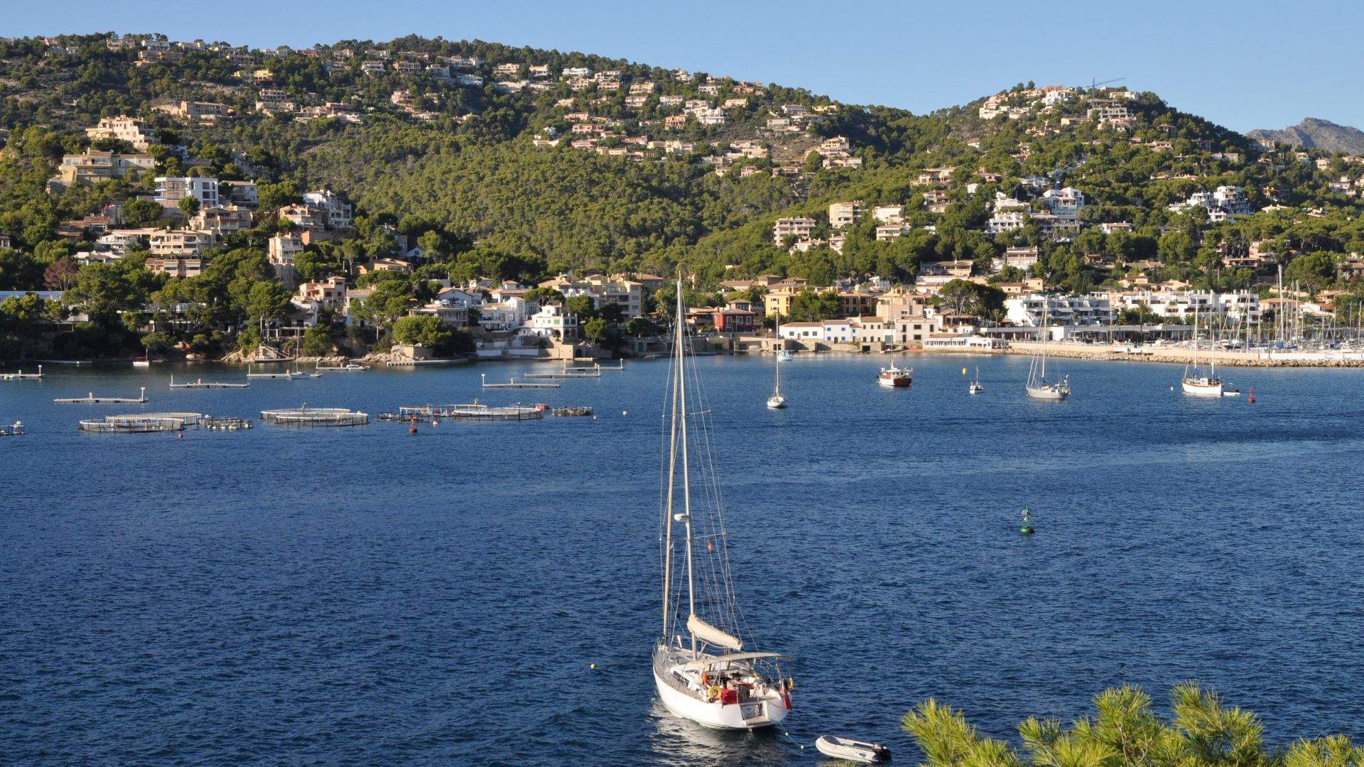 Port d'Andratx fishing harbor at evening — first-night overnight on the Tramuntana week.