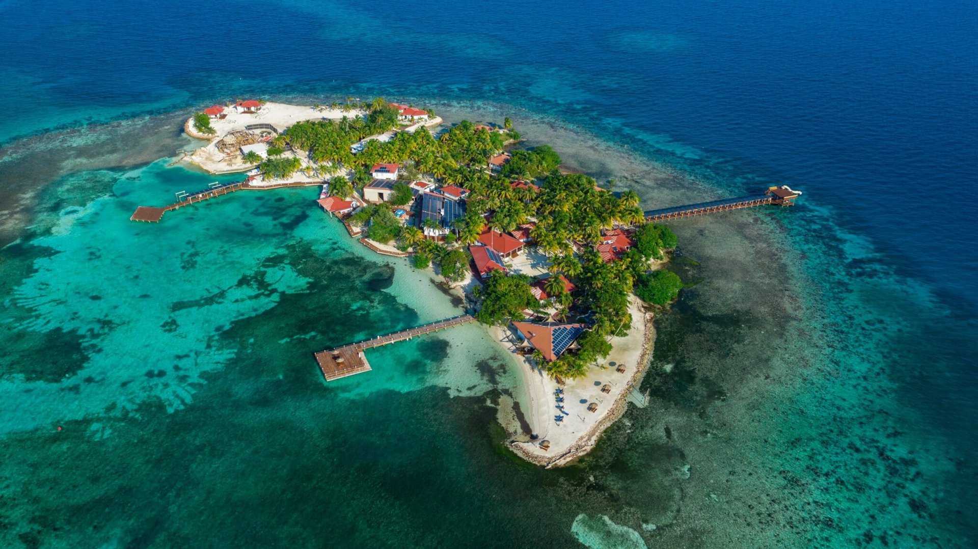 Aerial view of a palm-covered caye on the Belize Barrier Reef.