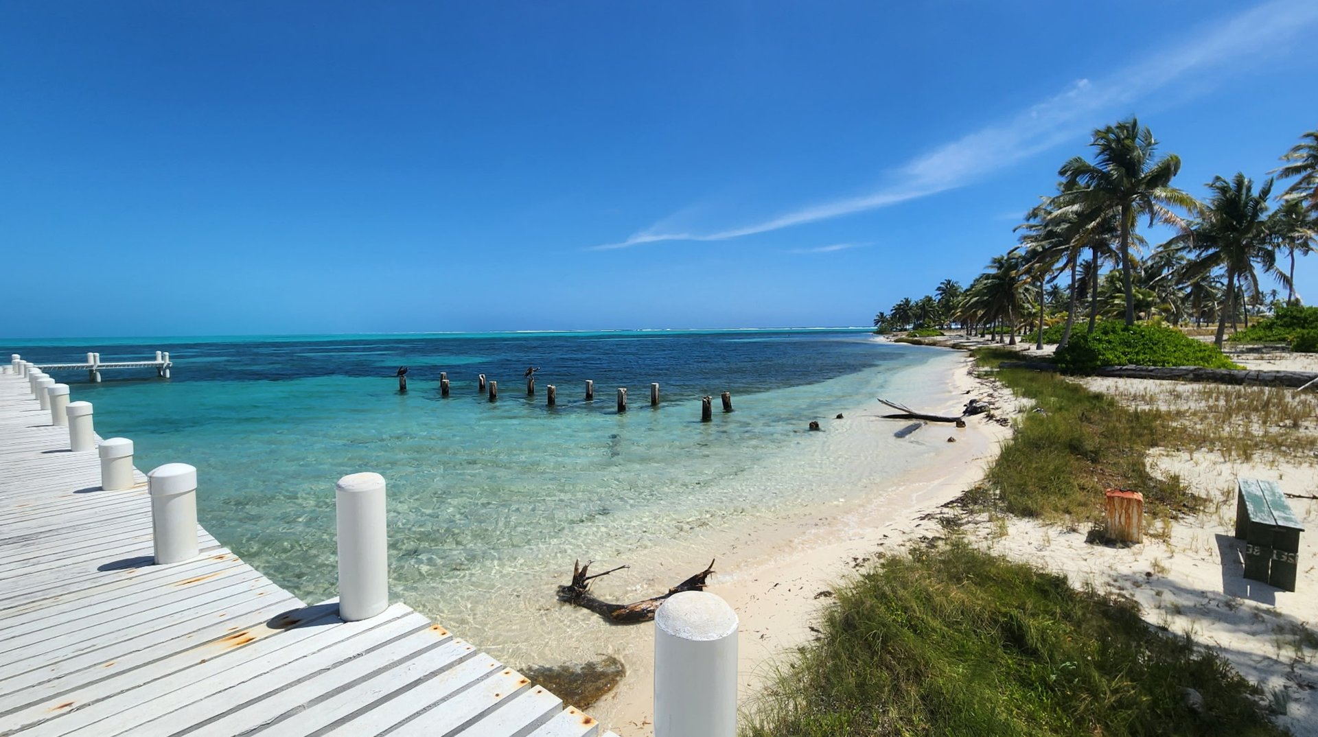 Wooden dock and sand beach on a Turneffe Atoll caye with clear shallow water and palms.