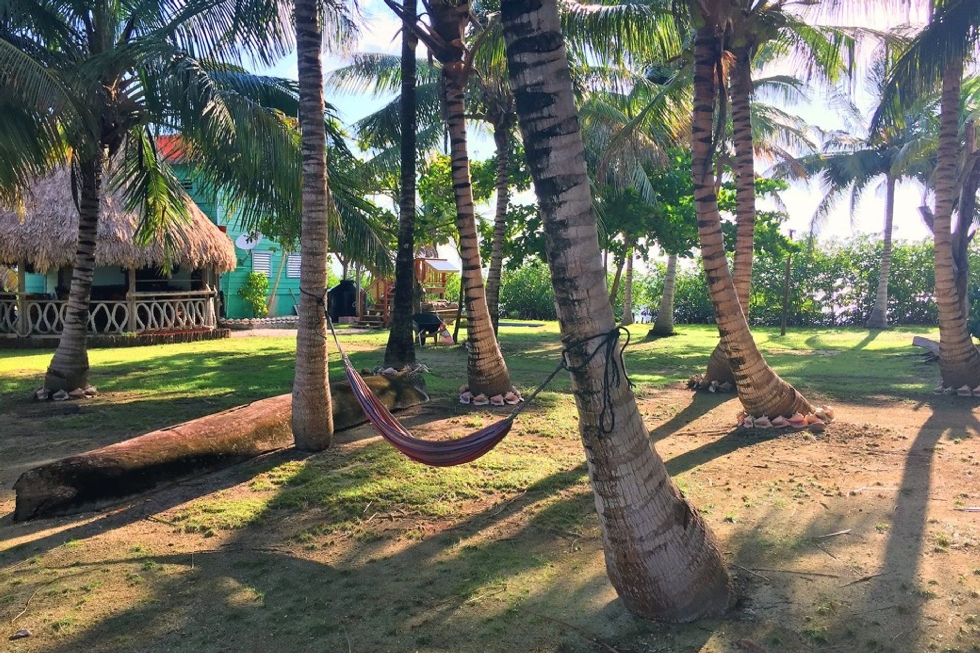 Whipray Caye's palm-lined grounds with a thatched bar above the water.