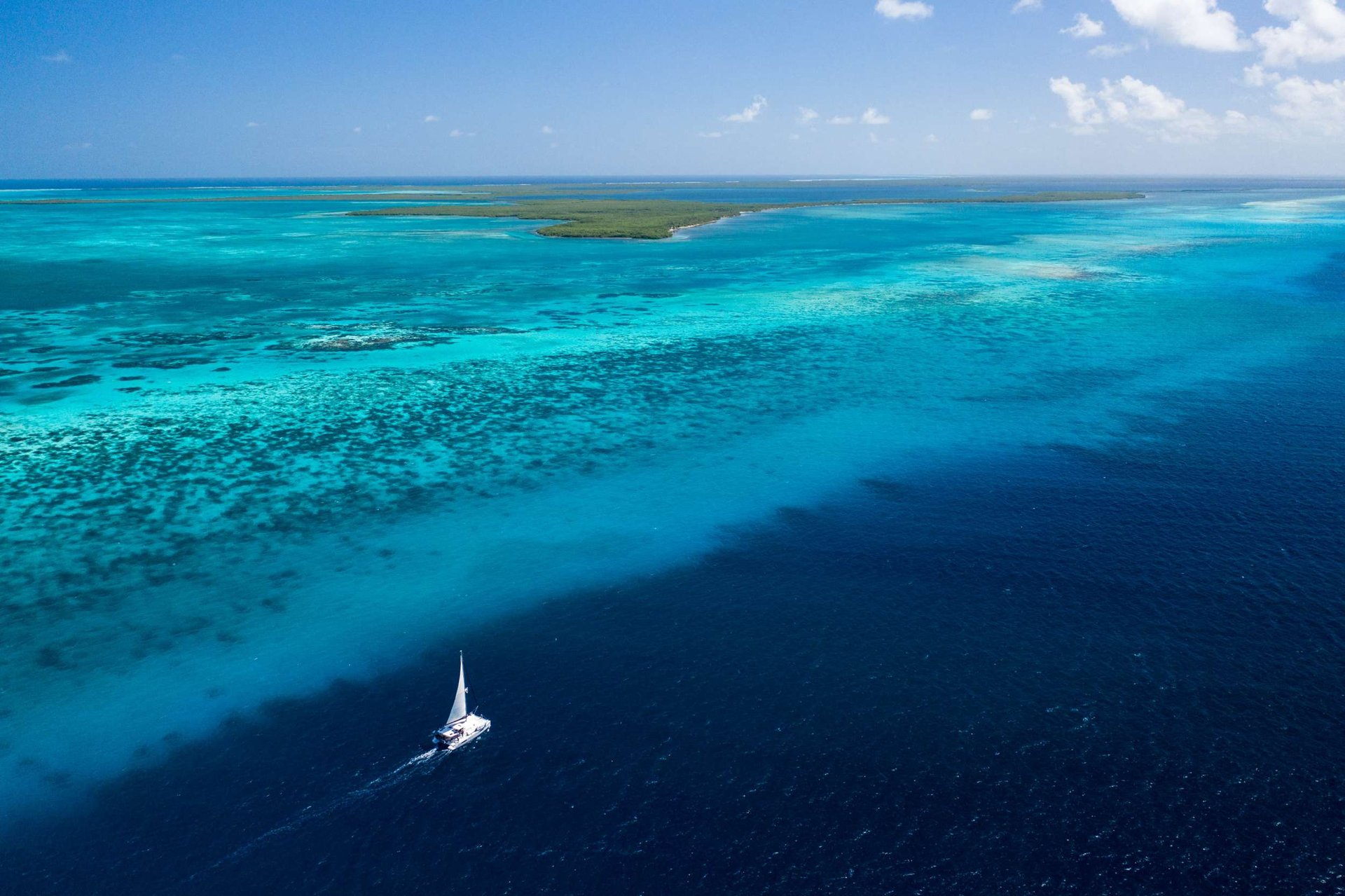 Catamaran sailing the color line between barrier reef shallows and deep blue.