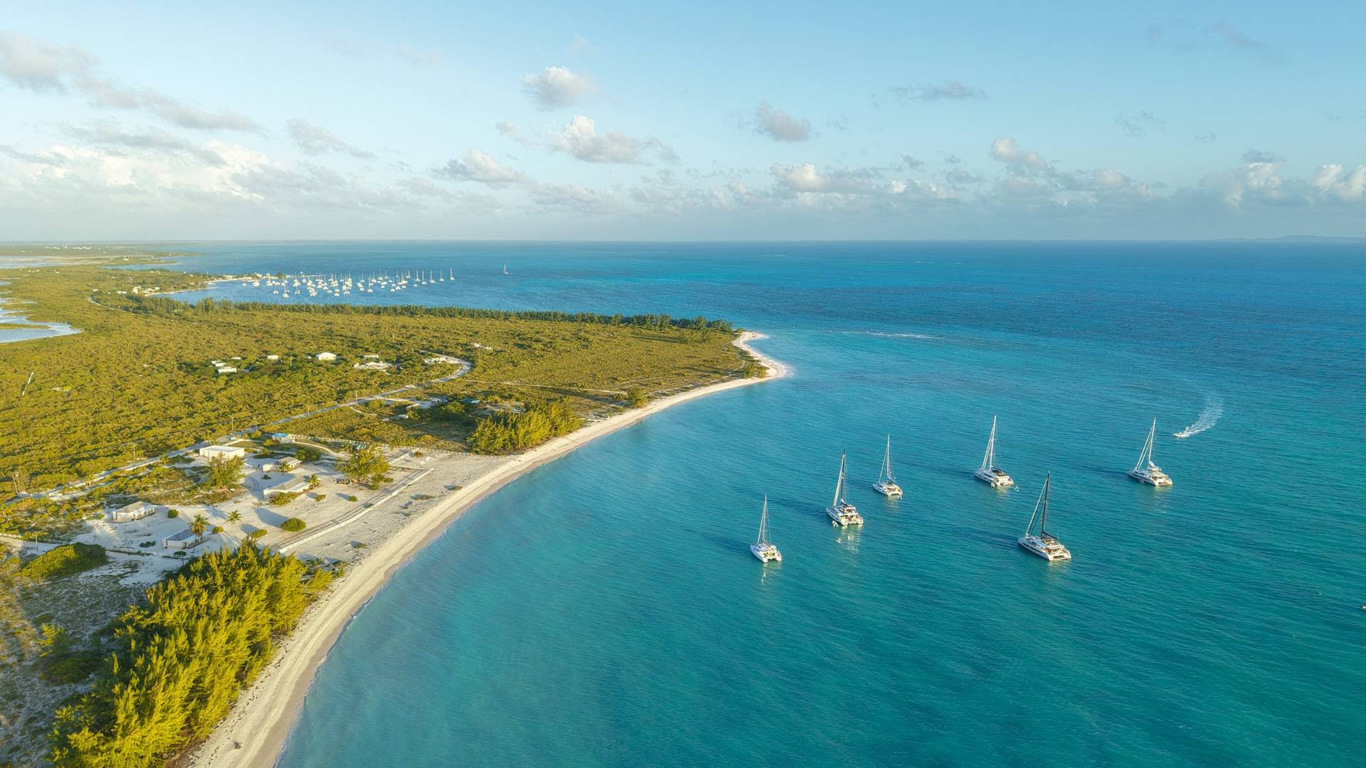 Pomato Point, Anegada — BVI crewed yacht charter
