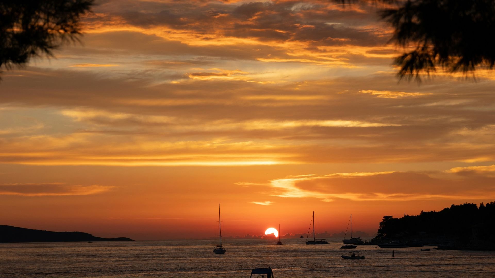 Sailboats silhouetted against an Adriatic sunset, framed by pine trees.