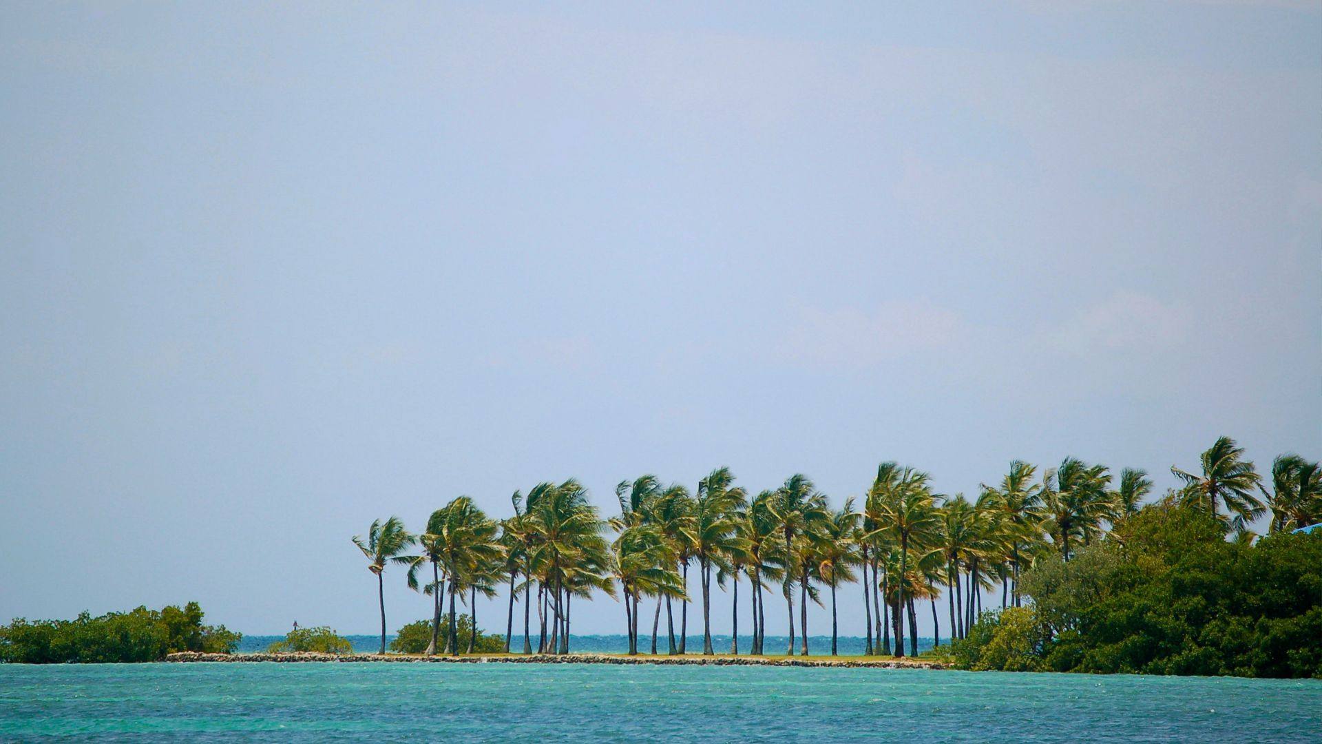 Islamorada's bay side — the sandbar-and-flats register of the middle chain.