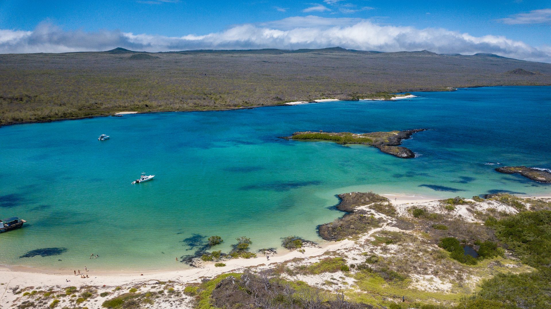 Cerro Brujo's white-sand cove on San Cristóbal — first snorkel of the week.