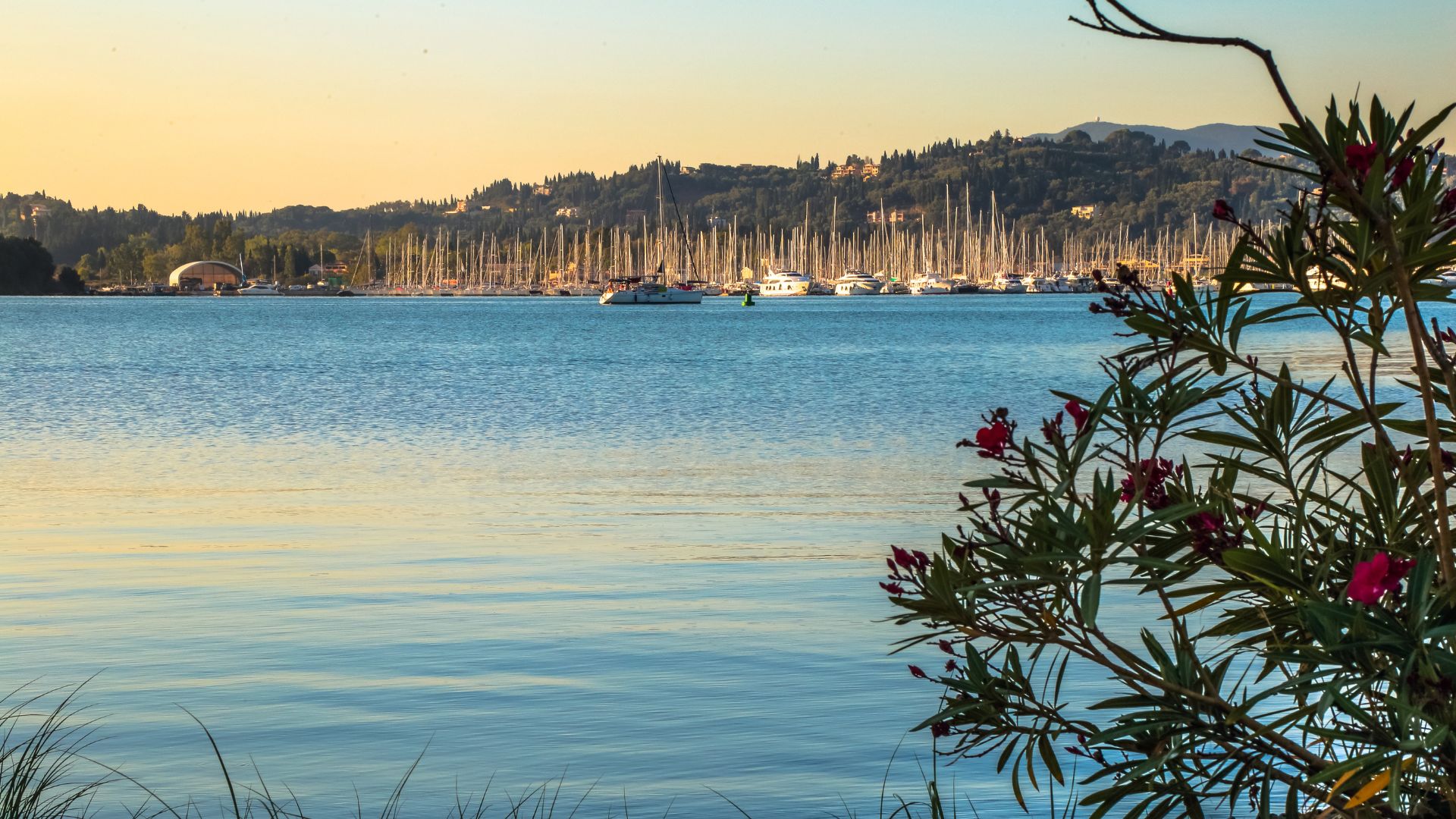 Gouvia Marina on Corfu, the start of the Ionian charter route.