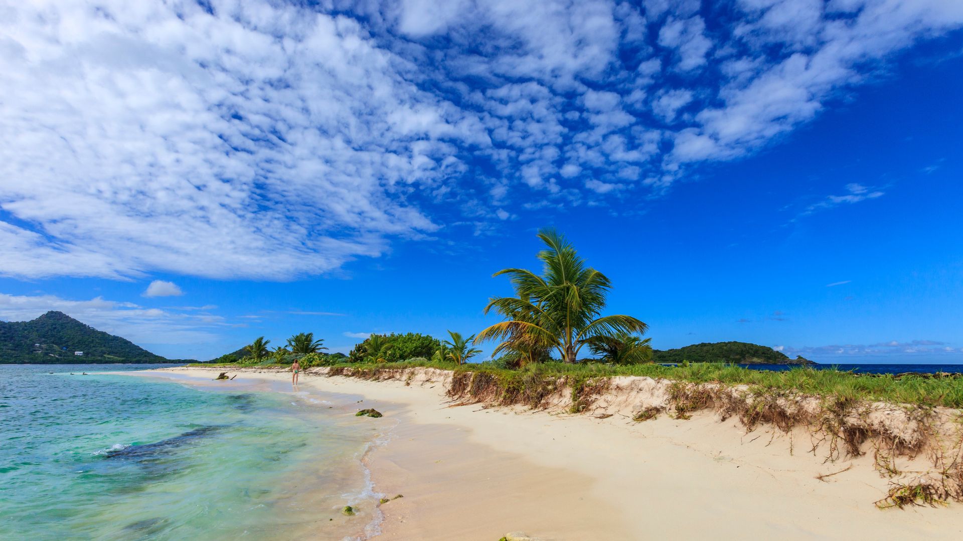 Sandy Island off Carriacou — a low, all-but-deserted spit of sand and palms inside Grenada's largest marine protected area, the bigger island behind it. The reef here is the best snorkeling on this end of Grenada.