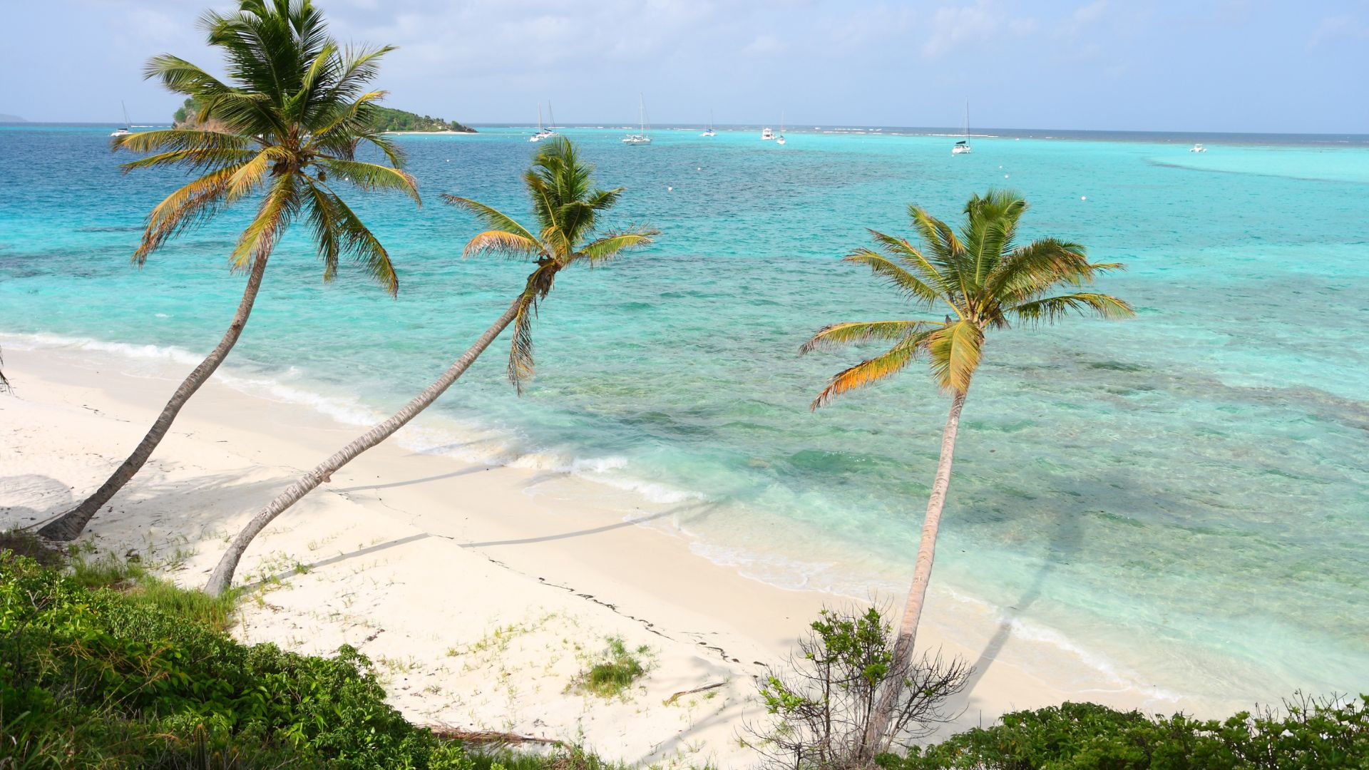 The white-sand beach at Petit St. Vincent with palm trees and clear shallow water.