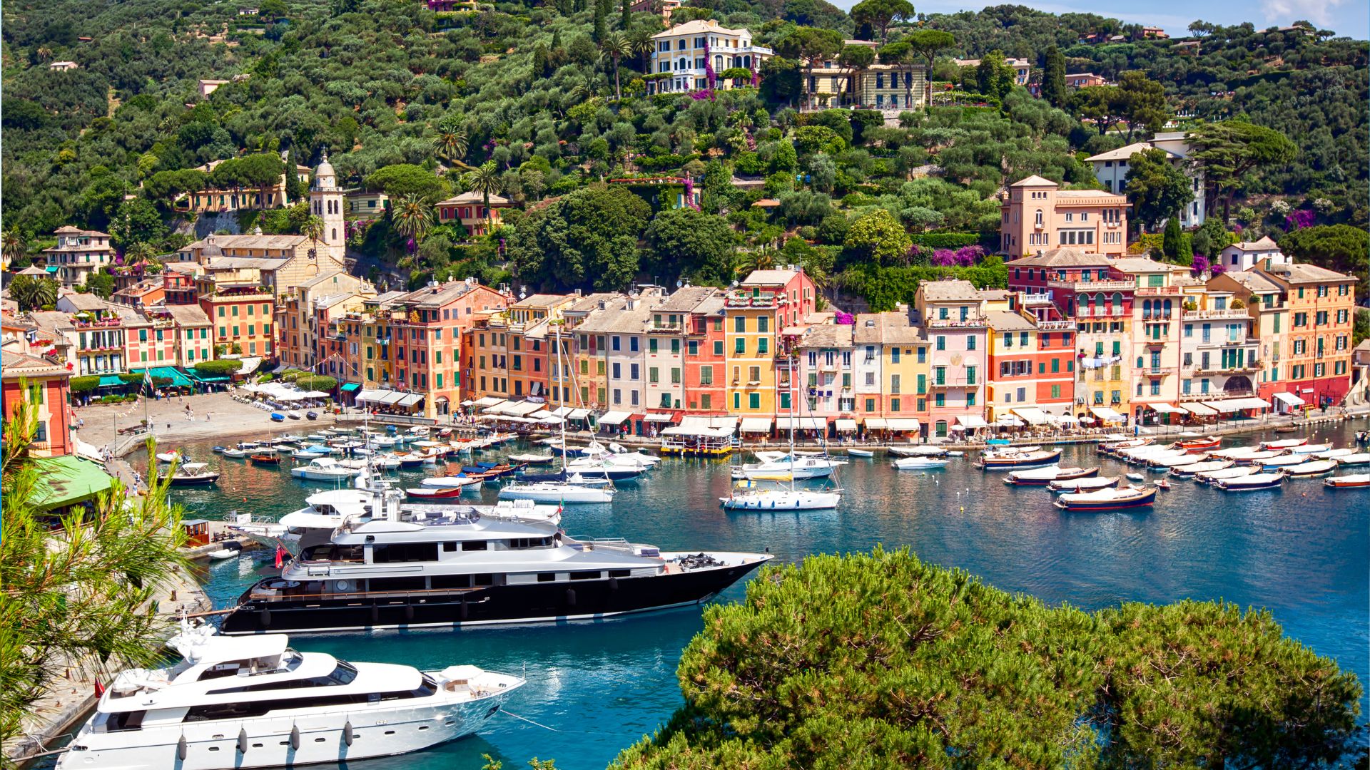 Portofino's pastel-house harbor on the Italian Riviera, with motor yachts at the inner quay