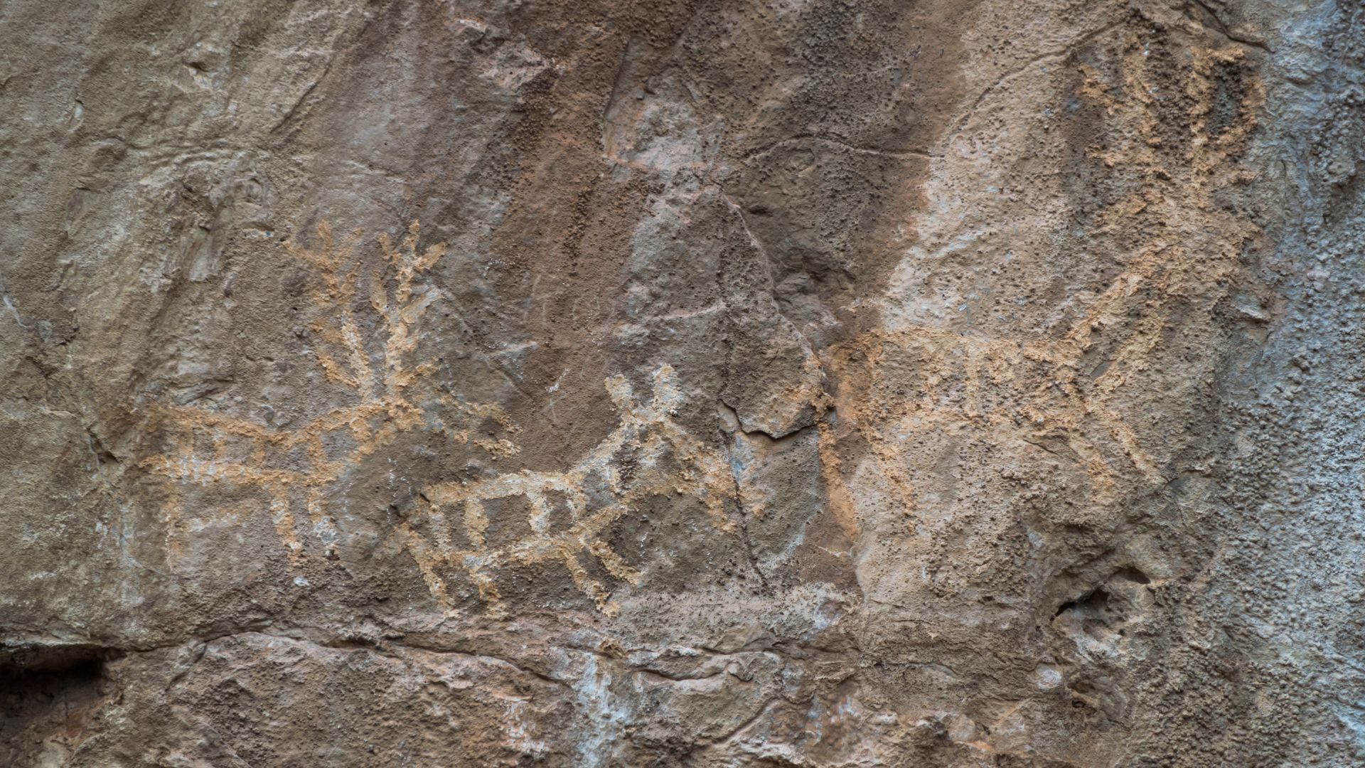 Lipci petroglyphs above Risan — Bronze Age deer figures on the cliff face, accessible by yacht-tender or by a steep walk up from the village.