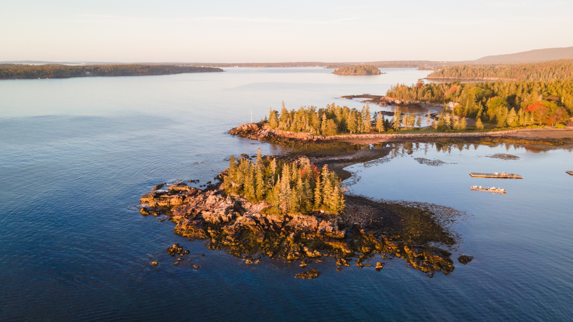 Spruce-lined granite shoreline at Somes Sound, Mount Desert Island, Maine