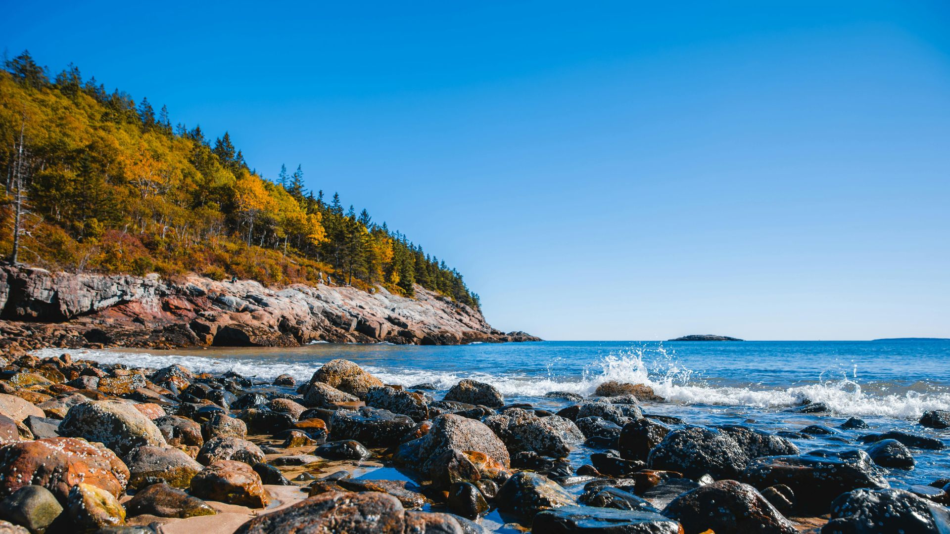 Early fall foliage along the Maine coastline above the water