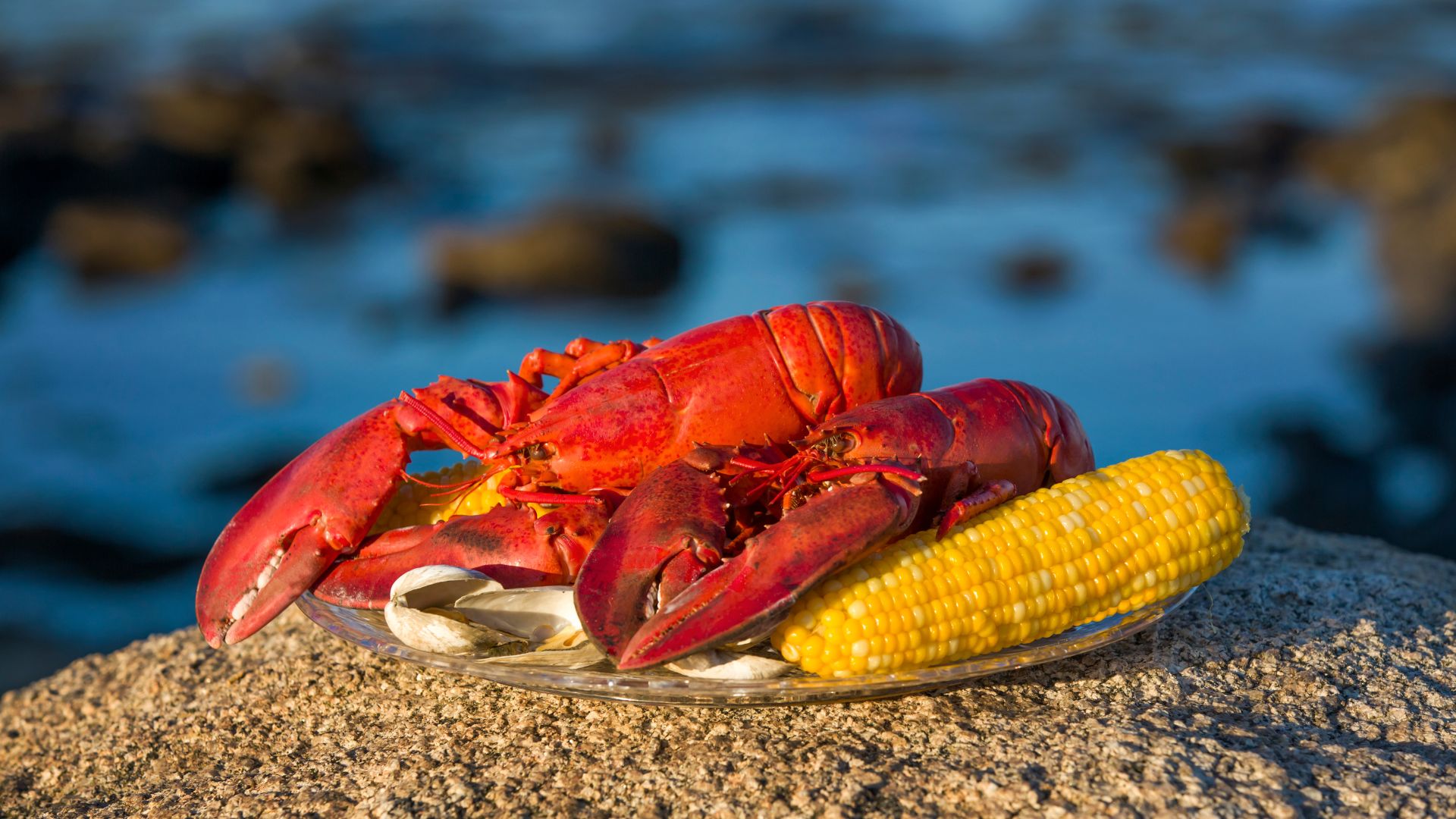 Maine: Lobster, Granite & Spruce