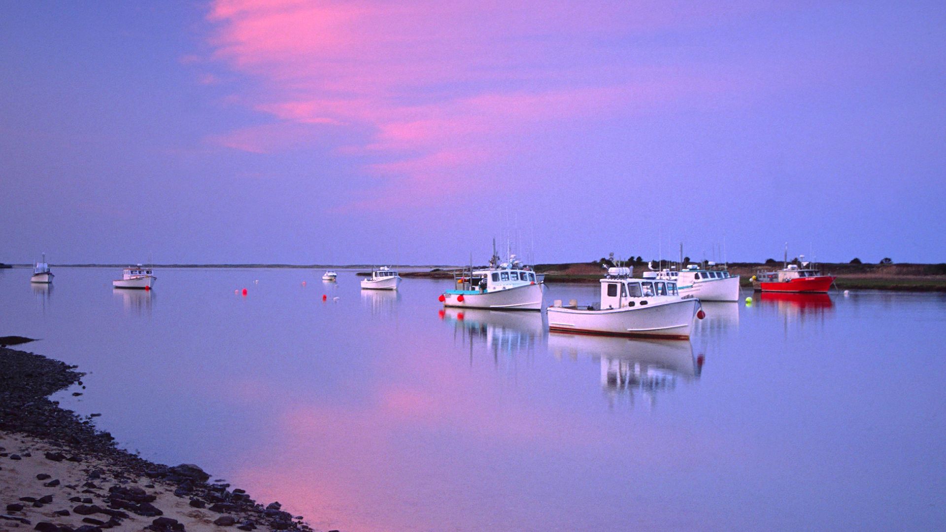 The Cape's working fleet at dusk — Chatham and Provincetown both keep boats that still fish for a living.