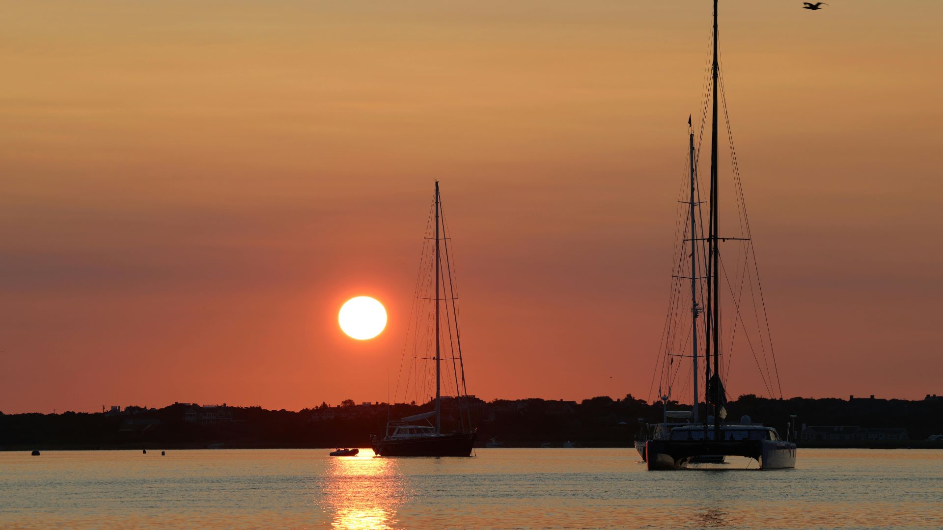 Sailing yachts at anchor off Nantucket at sunset.