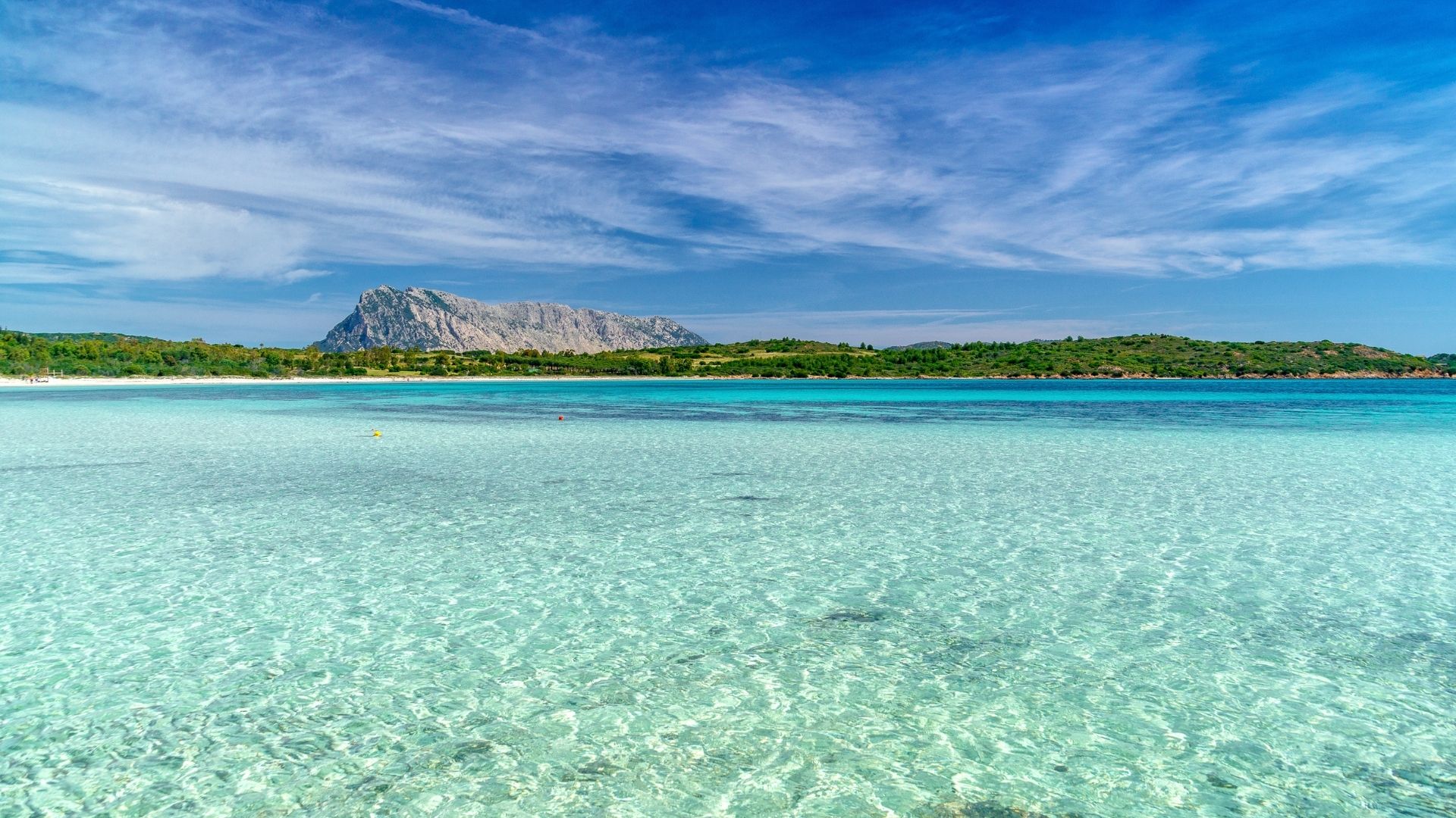 Cala Brandinchi — the south-east-coast version of Sardinia's Tahiti. Fine white sand, shallow turquoise water, the kind of cove that's a five-mile reposition from Tavolara.