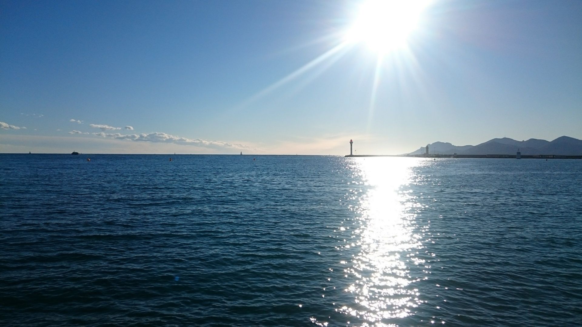 The Croisette runs the length of the Cannes seafront — palm-lined, with the harbor on one side and the beach clubs on the other.