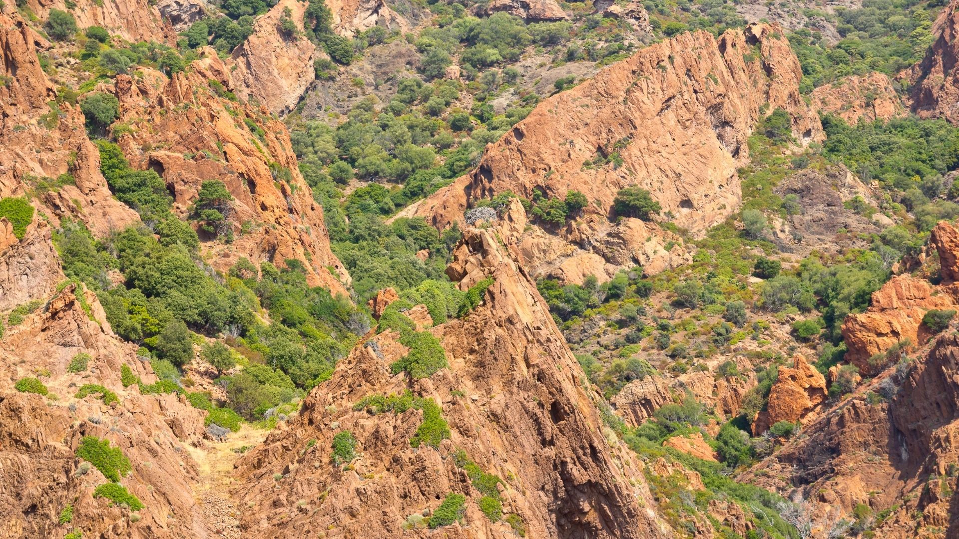 The red porphyry cliffs of the Scandola Nature Reserve — UNESCO World Heritage on Corsica's west coast