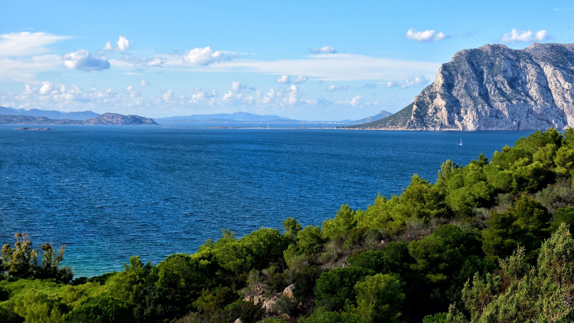 Tavolara Island's sheer limestone face rising from the sea in the marine-protected area south of Olbia.