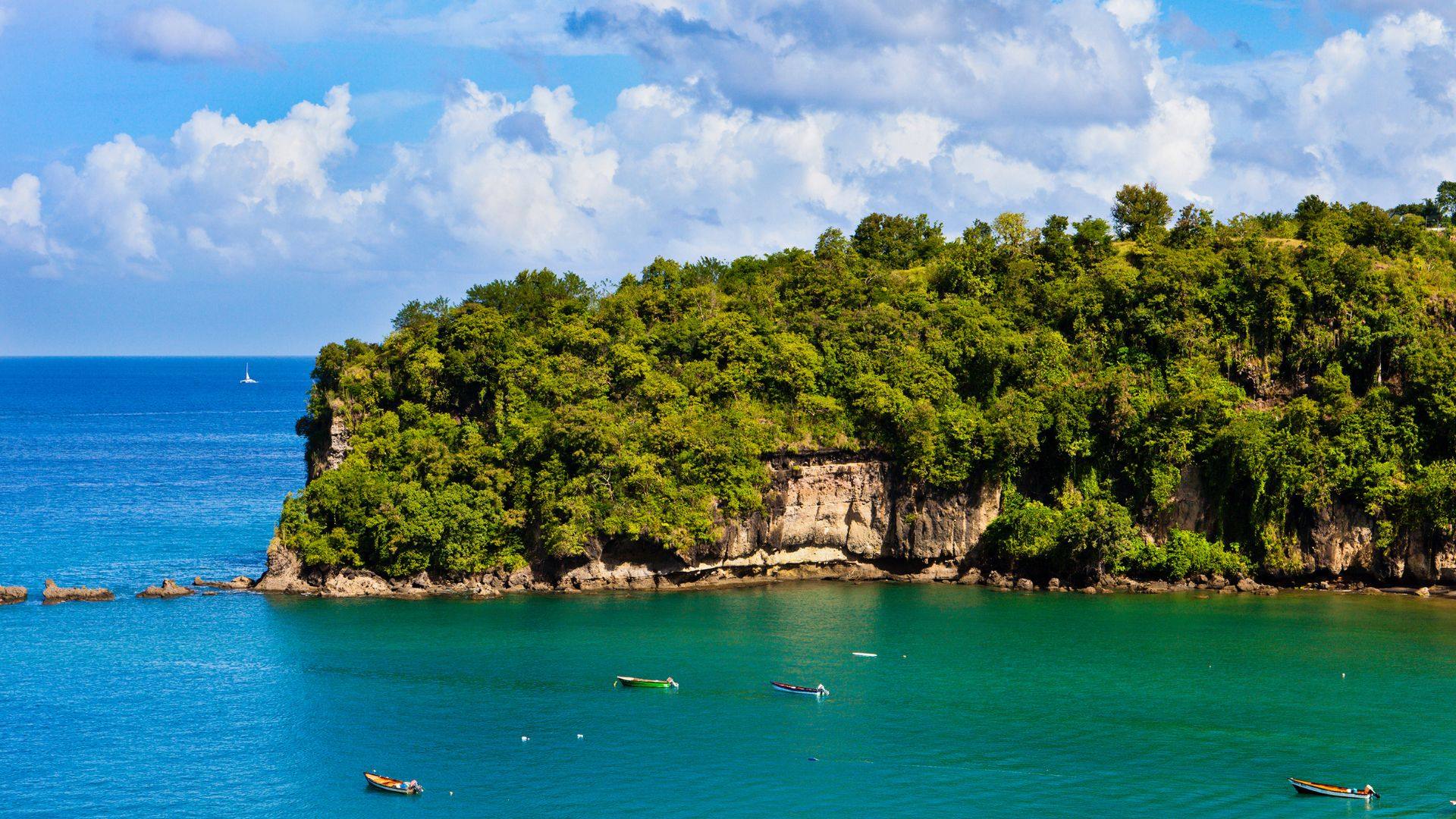 Fishing boats moored under a forested headland on St. Lucia's west coast