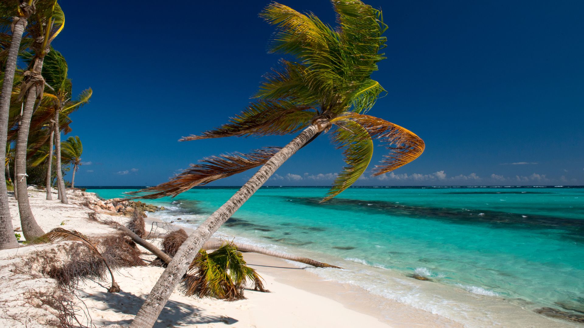 Little Harbour offers a unique experience to anchor close to shore.