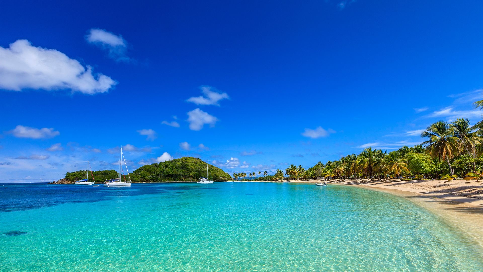 Salt Whistle Bay, Mayreau — narrow palm-fringed isthmus between two beaches