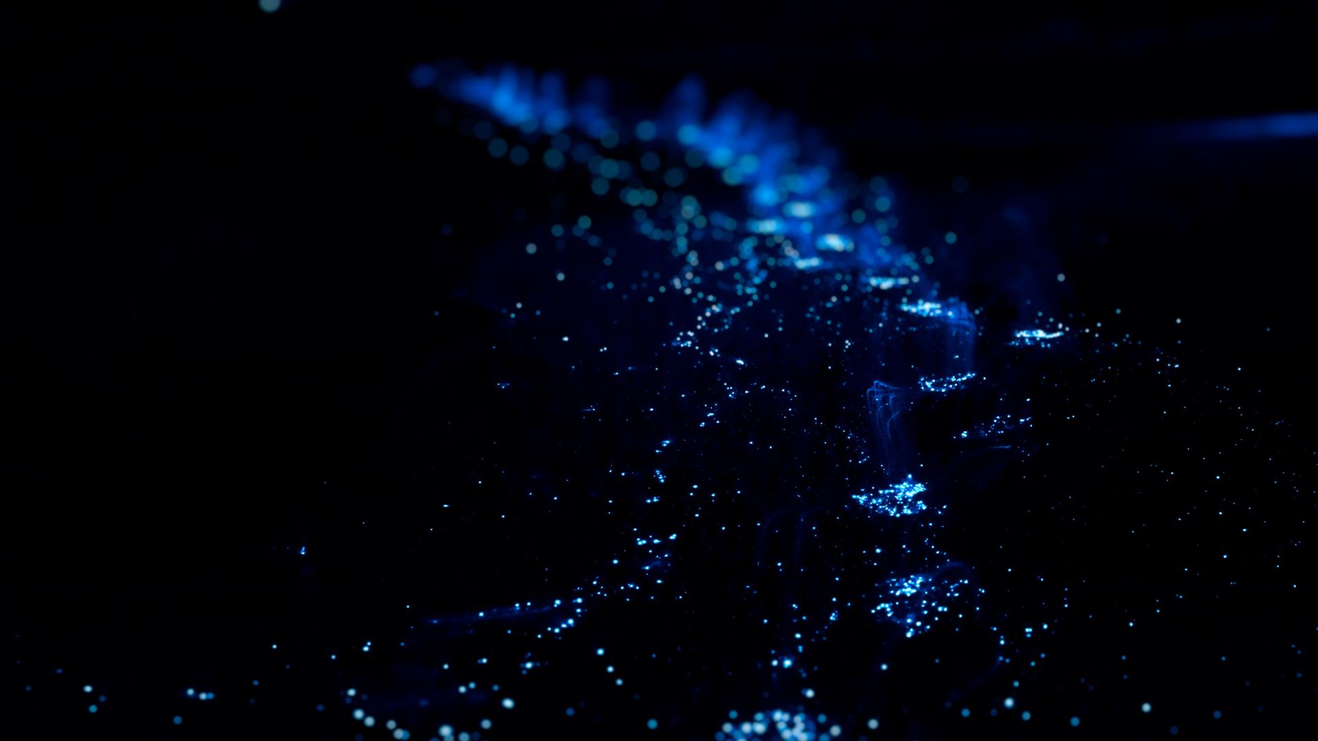 Bioluminescent dinoflagellates glowing electric blue in Bahía Mosquito on Vieques