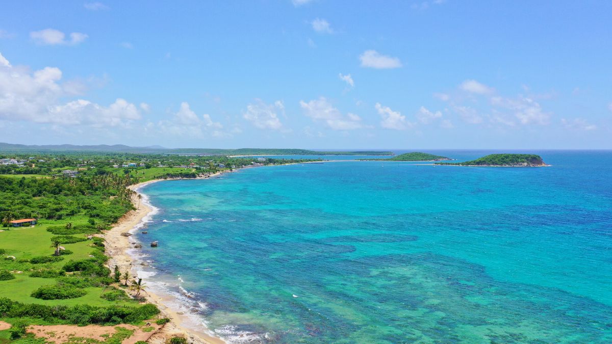 Aerial of Vieques's south coast — palm-lined sand and reef shallows