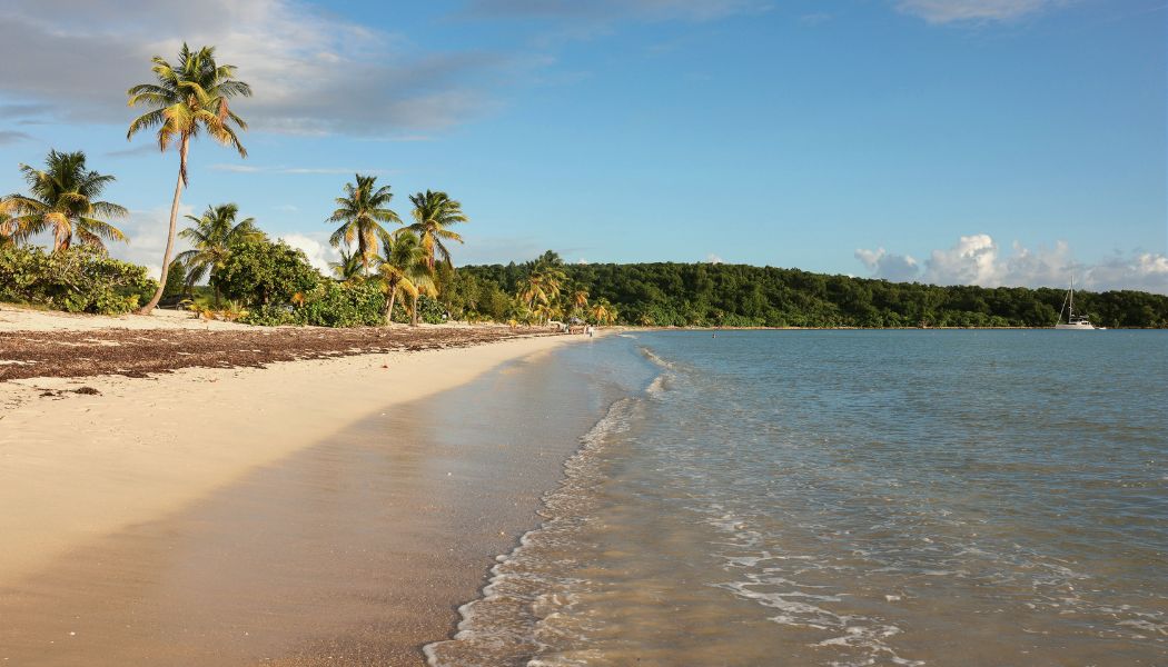 Palm-fringed Sun Bay beach on the south coast of Vieques at golden hour, with a catamaran moored offshore.