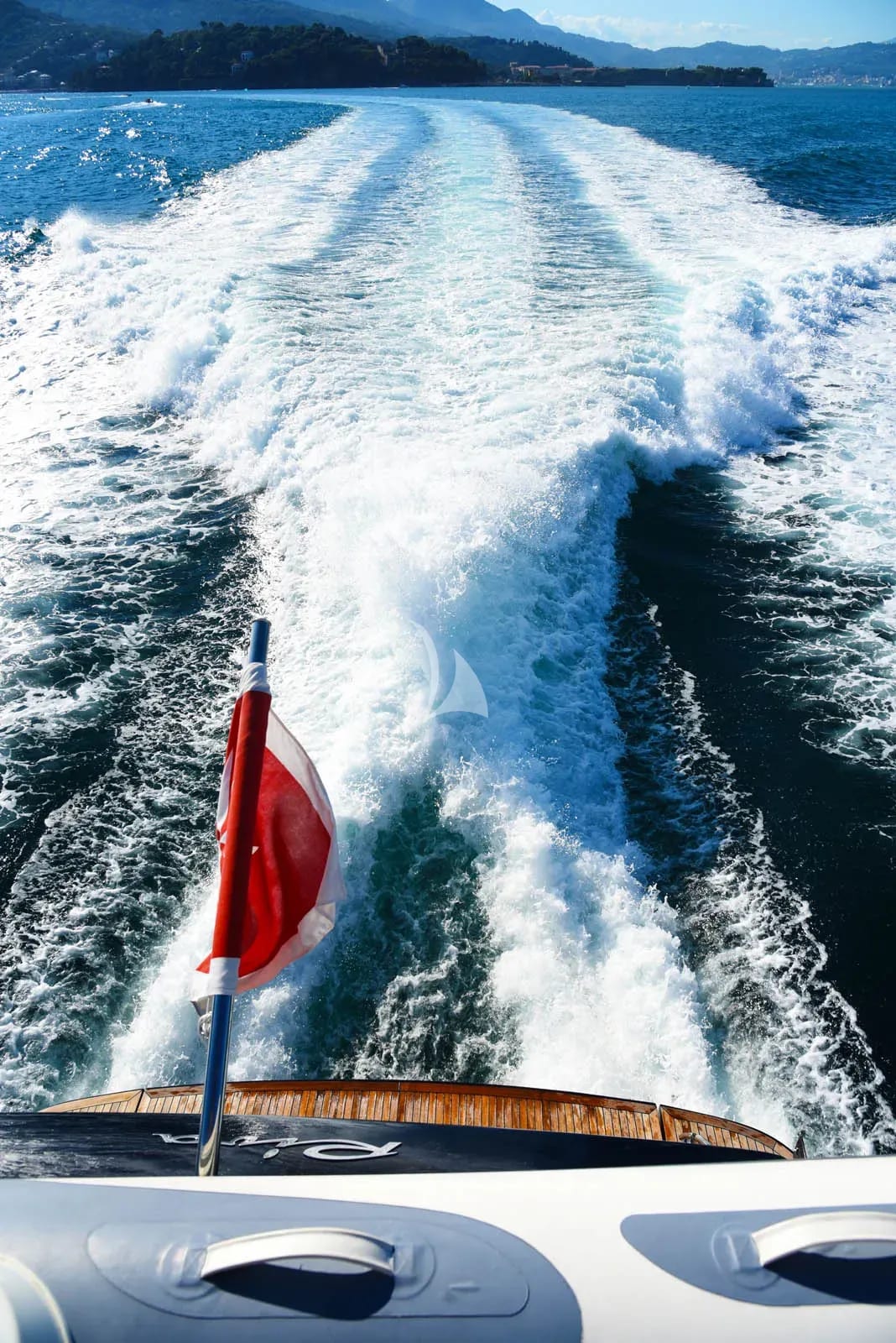 Anything Goes IV photo 12