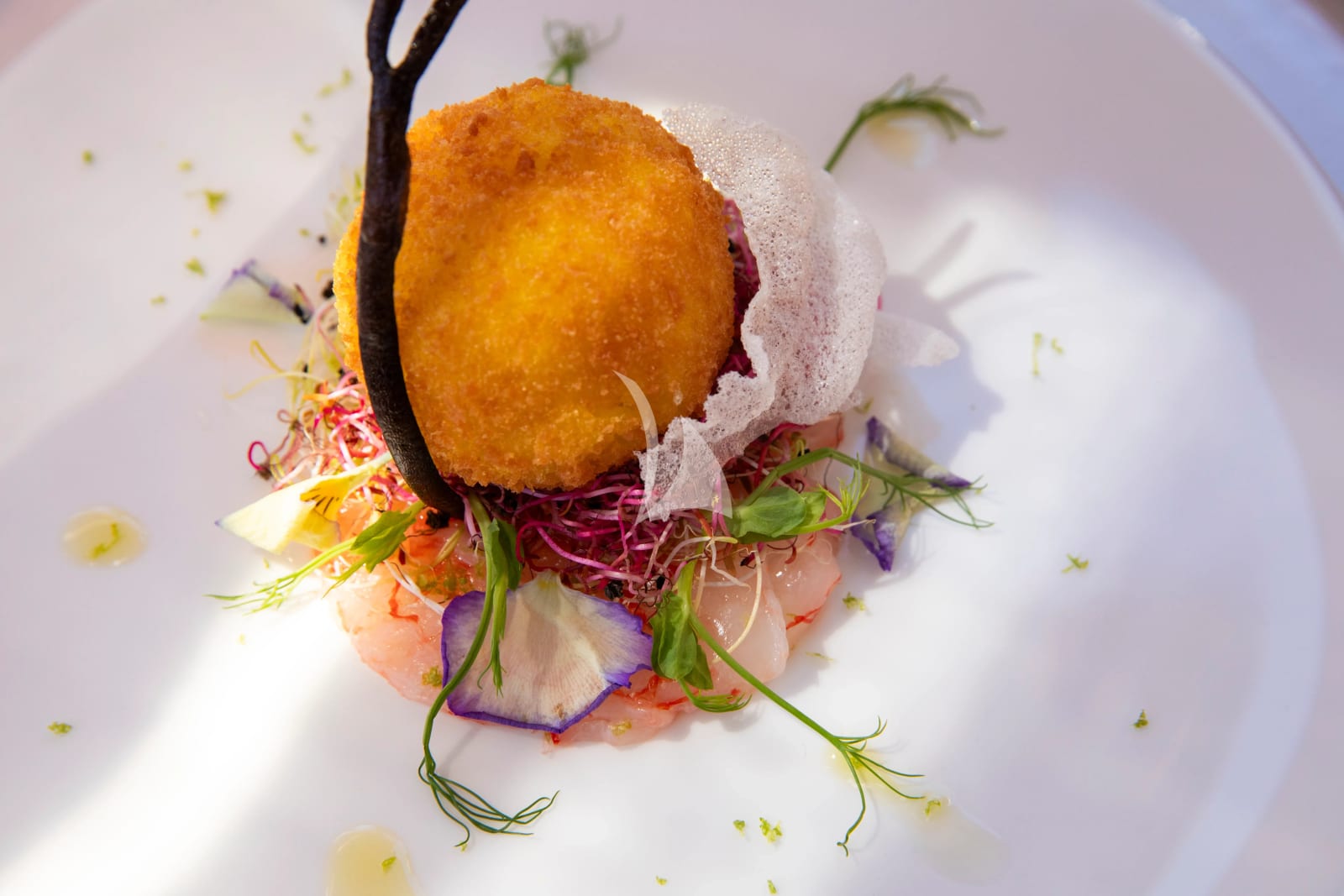 Menu Image 9
